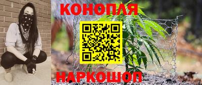 соль ск Будённовск