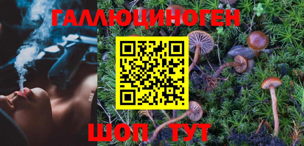 Галлюциногенные грибы Psilocybine cubensis Лесной